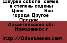 Шкурки соболя (самец) 1-я степень седены › Цена ­ 12 000 - Все города Другое » Продам   . Архангельская обл.,Новодвинск г.